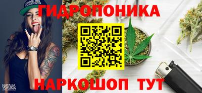мдпв Пенза