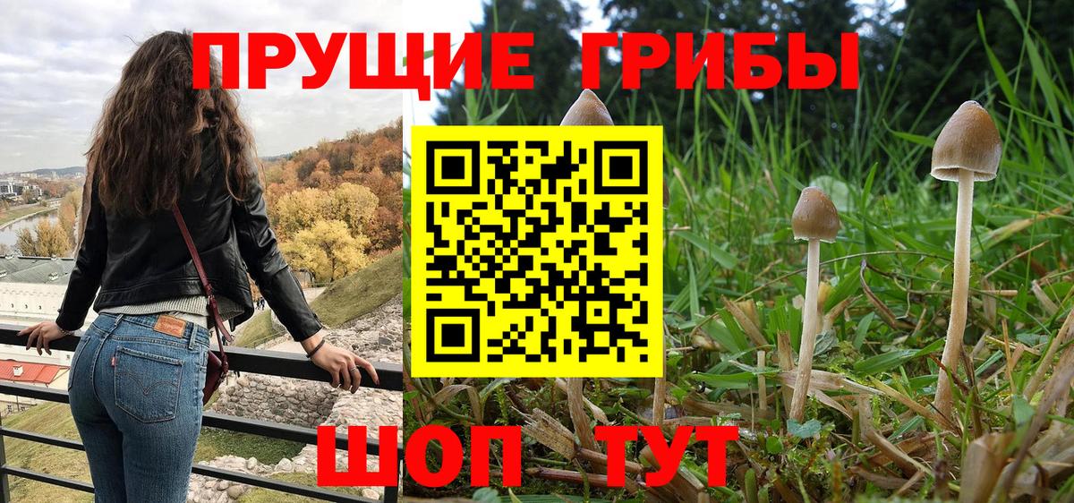 Псилоцибиновые грибы прущие грибы  Галлюциногенные грибы Magic Shrooms  Белгород  Вход с VPN 