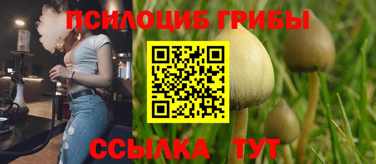 Галлюциногенные грибы ЛСД Белгород